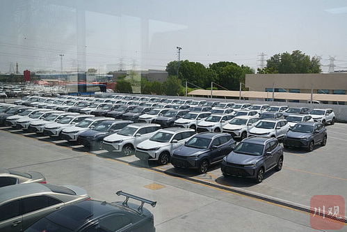 絲路花正開(kāi) 阿聯(lián)酋丨四川整車闖中東汽車租賃市場(chǎng)